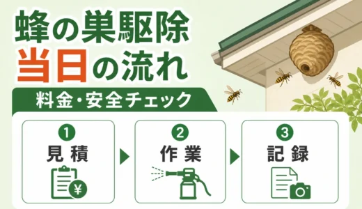 蜂の巣駆除当日の流れ｜立ち会いで確認する料金・作業範囲・安全ポイント