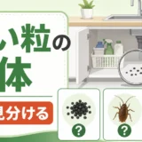 エアコンから「動物の臭い」がする原因と、確認すべき室外機・配管周りの侵入サイン