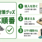 ネズミ駆除グッズを選ぶ順番を示す図解