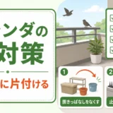 ベランダの鳥対策で先に取り除く物と置く物を示すサムネイル