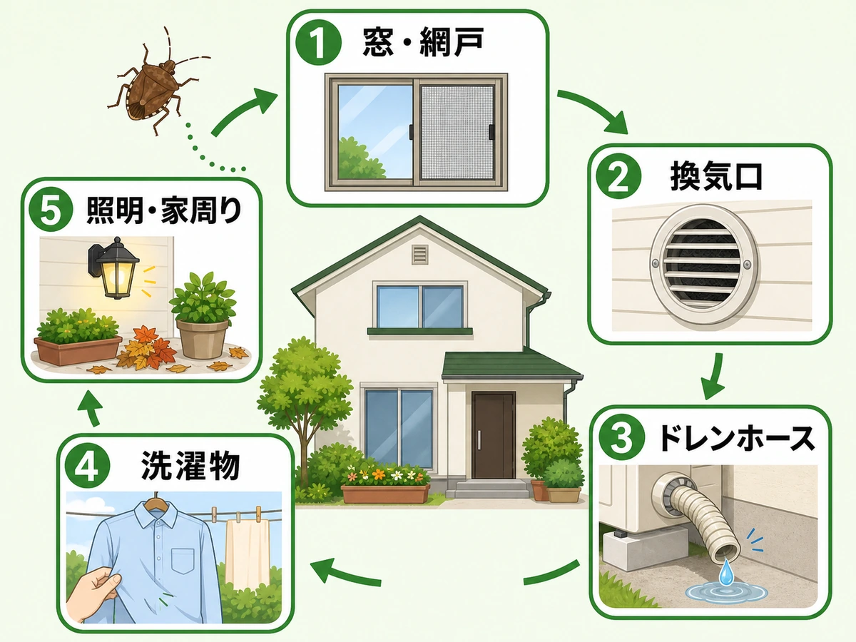 カメムシ侵入を減らすため窓・網戸から照明・家周りまで5か所を確認する流れ