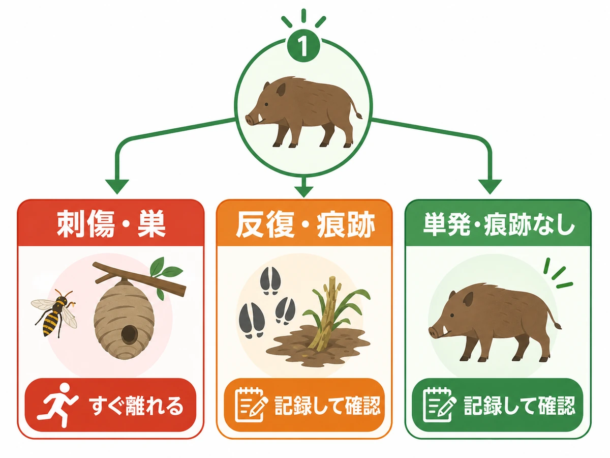 1匹発見時に刺傷や巣、反復や痕跡、単発を分ける判断チャート
