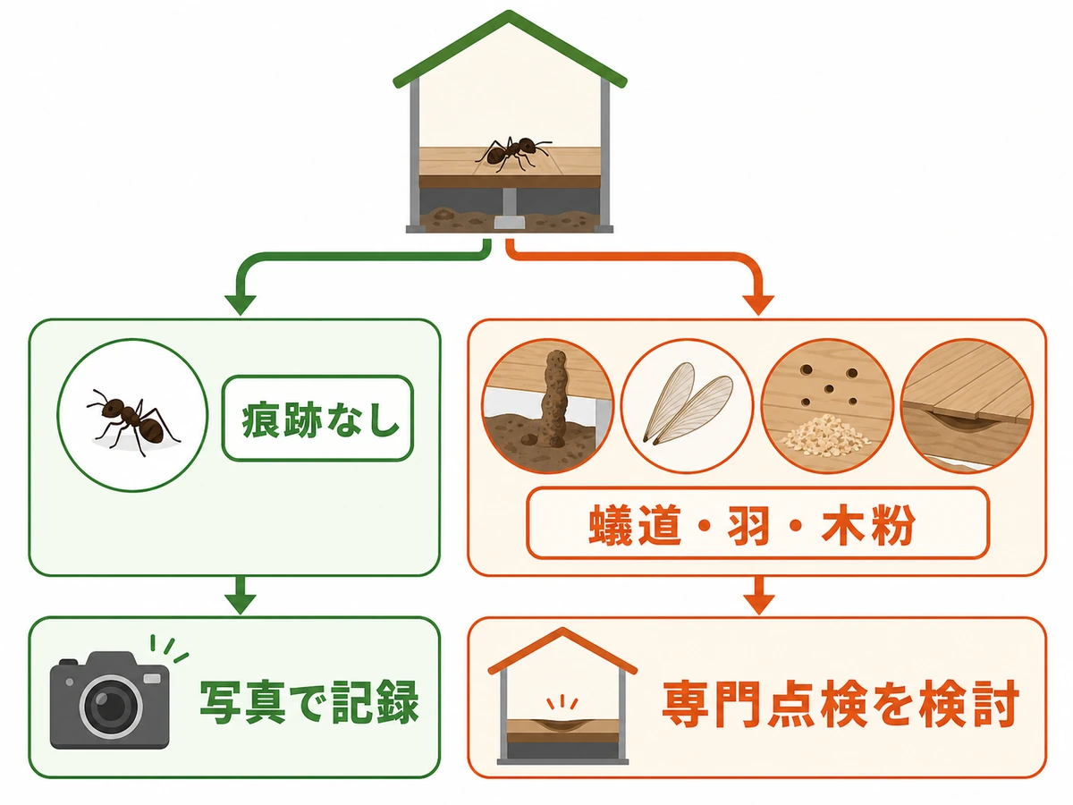 床下の虫を記録して様子を見る場合と専門点検を考えるサインの分岐