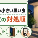 夜の玄関に集まる小さい黒い虫と今夜の対処順を示すイラスト