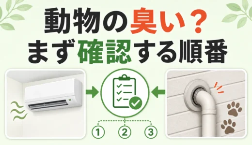 エアコンから動物の臭い？害獣侵入とカビを見分ける確認順