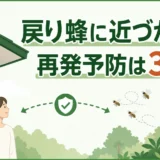 戻り蜂に近づかず再発予防を確認するサムネイル