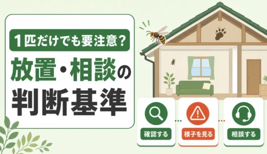 害虫・害獣を1匹見たら危険？すぐ相談したい種類と判断基準