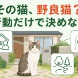 家周りの猫を行動だけで野良猫と決めないことを示すイラスト