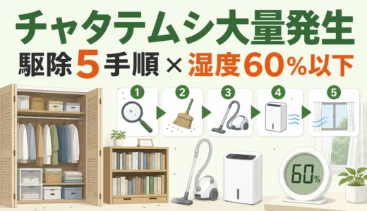 チャタテムシが大量発生したら？駆除の5手順と湿度60％以下の再発対策