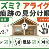 ネズミとアライグマの痕跡を見分ける順番を示す図解
