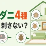 家にいるダニ4種類のうち人を刺す種類と刺さない種類を整理した図