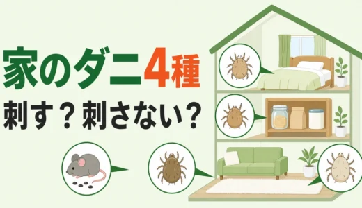 家にいるダニ4種類の違い｜人を刺すダニの見分け方と対策