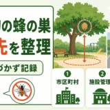 公共物の蜂の巣の連絡先と安全な初動を整理した図