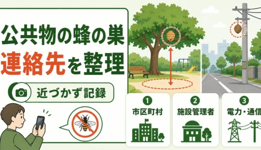 公共物の蜂の巣はどこに連絡？場所別の相談先と安全な初動