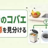 台所のコバエの発生源を生ゴミ・排水口・観葉植物から見分ける図
