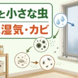 結露した窓と小さな虫の関係を、湿気とカビの要因とともに示す図