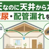 晴天なのに天井から水が垂れるときに害獣尿と配管漏れを確認する図