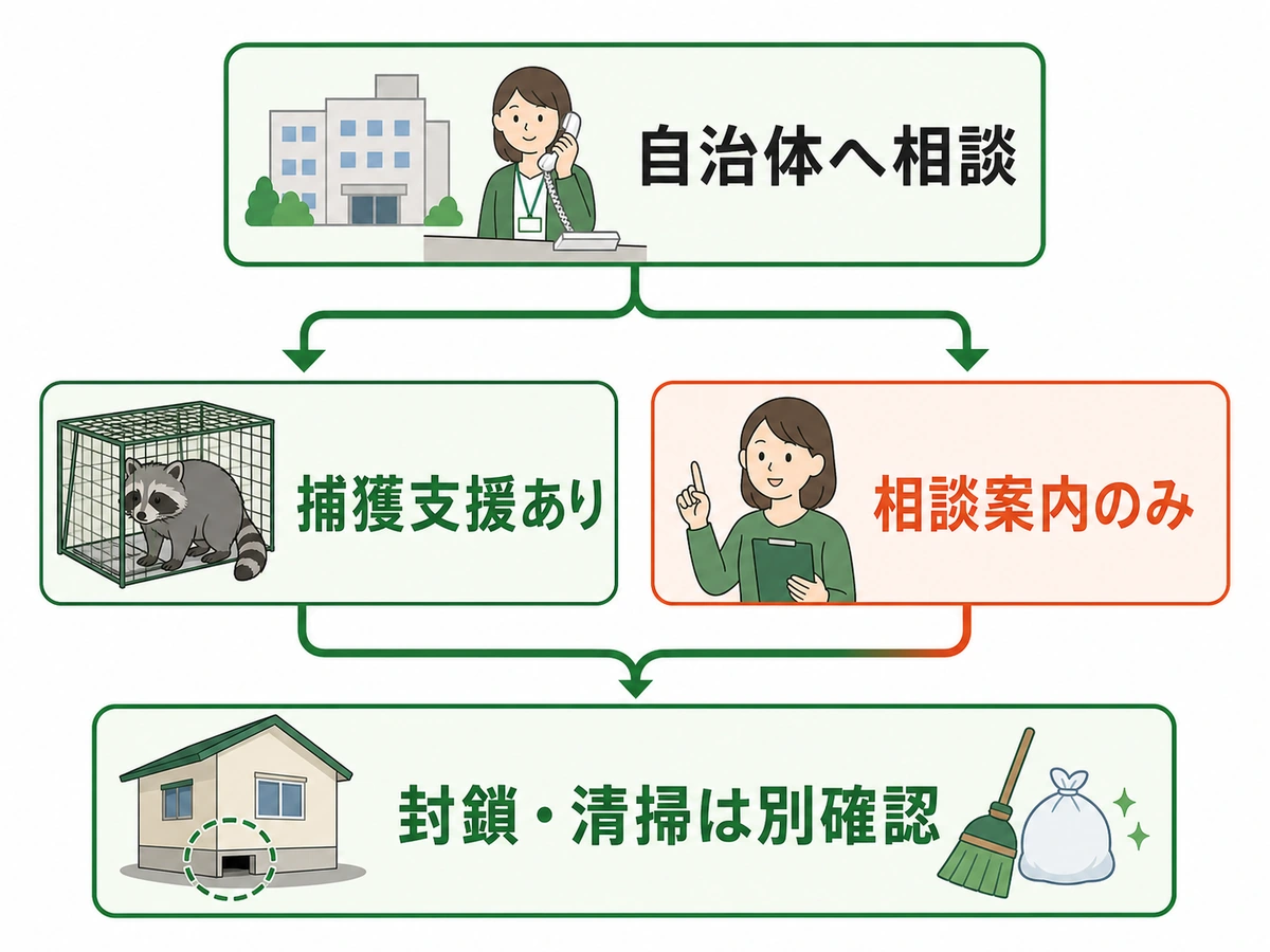自治体のアライグマ捕獲支援と業者相談の判断図