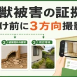害獣被害を片付ける前に全景・接写・周辺の3方向で記録する方法