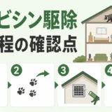 ハクビシン駆除の4工程と確認点を示す図