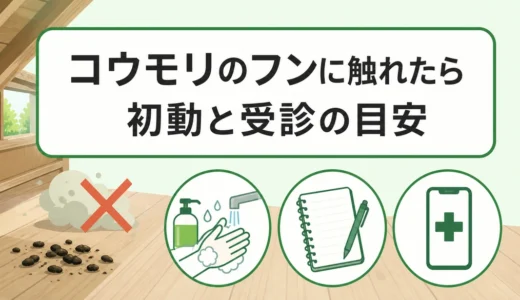 コウモリのフンに触れた・吸い込んだら？初動と受診の目安