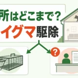 市役所が対応するアライグマ駆除の範囲を確認する判断図