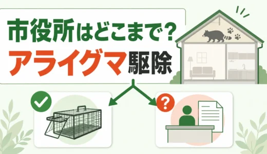 アライグマ駆除は自治体に頼める？市役所への相談手順と対応範囲