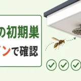 軒下のアシナガバチ初期巣に気づく3つのサイン
