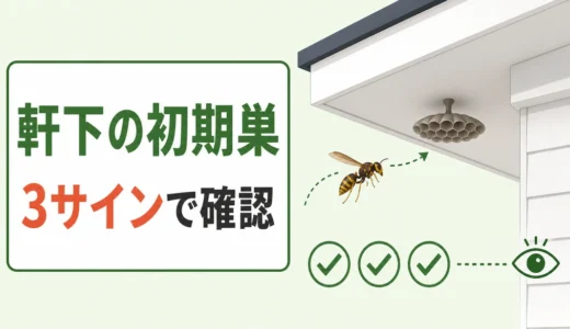 アシナガバチが軒下に巣を作る理由｜春に気づく3つのサインと安全な確認法
