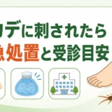 ムカデに刺されたときの応急処置と受診目安