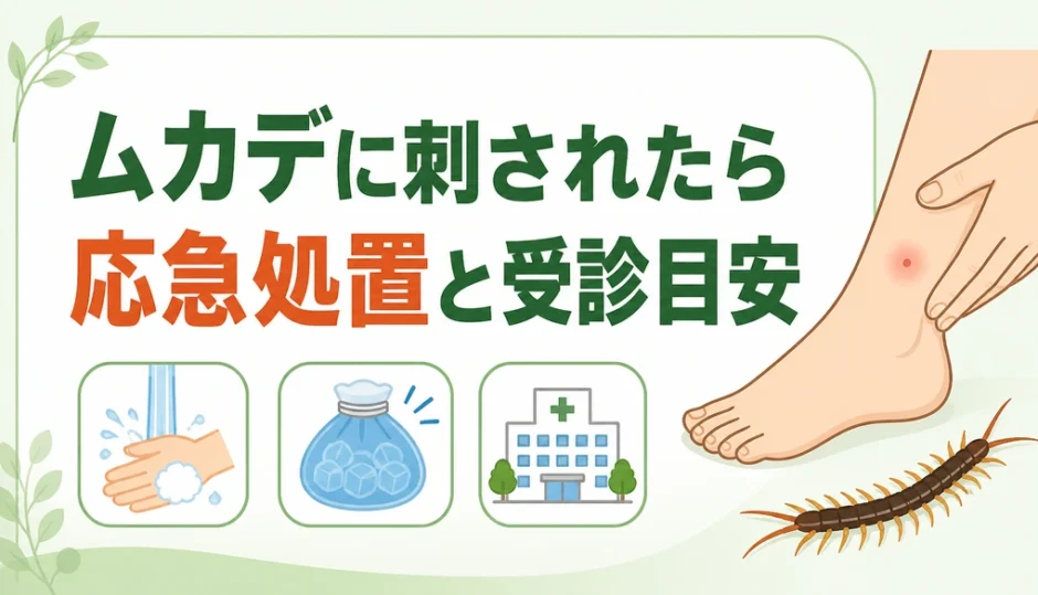 ムカデに刺されたときの応急処置と受診目安