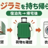 旅行先からトコジラミを持ち帰らないために客室・荷物・衣類を確認する3段階